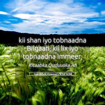 Picture 05 - Taariikhdii Kowaad 24:14 SOM - kii shan iyo tobnaadna Bilgaah, kii lix iyo - Bible Verse Picture