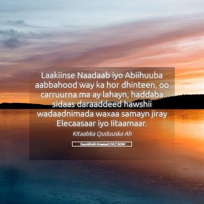 Picture 05 - Taariikhdii Kowaad 24:2 SOM - Laakiinse Naadaab iyo Abiihuuba aabbahood way ka - Bible Verse Picture