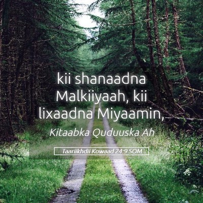 Picture 05 - Taariikhdii Kowaad 24:9 SOM - kii shanaadna Malkiiyaah, kii lixaadna - Bible Verse Picture