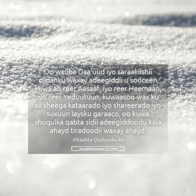 Picture 05 - Taariikhdii Kowaad 25:1 SOM - Oo weliba Daa'uud iyo saraakiishii ciidanku waxay - Bible Verse Picture