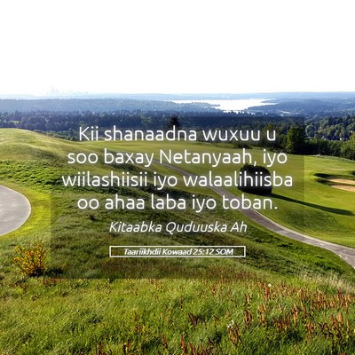 Picture 05 - Taariikhdii Kowaad 25:12 SOM - Kii shanaadna wuxuu u soo baxay Netanyaah, iyo - Bible Verse Picture