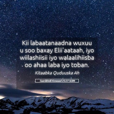 Picture 05 - Taariikhdii Kowaad 25:27 SOM - Kii labaatanaadna wuxuu u soo baxay Elii'aataah, - Bible Verse Picture