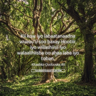 Picture 05 - Taariikhdii Kowaad 25:28 SOM - Kii kow iyo labaatanaadna wuxuu u soo baxay - Bible Verse Picture