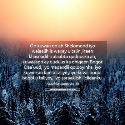 Picture 05 - Taariikhdii Kowaad 26:26 SOM - Oo kuwan oo ah Shelomood iyo walaalihiis waxay u - Bible Verse Picture