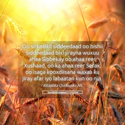 Picture 05 - Taariikhdii Kowaad 27:11 SOM - Oo sirkaalkii siddeedaad oo bishii siddeedaad - Bible Verse Picture