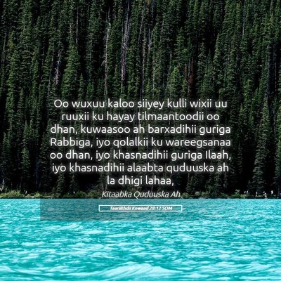 Picture 05 - Taariikhdii Kowaad 28:12 SOM - Oo wuxuu kaloo siiyey kulli wixii uu ruuxii ku - Bible Verse Picture