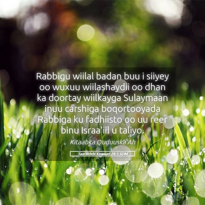 Picture 05 - Taariikhdii Kowaad 28:5 SOM - Rabbigu wiilal badan buu i siiyey oo wuxuu - Bible Verse Picture
