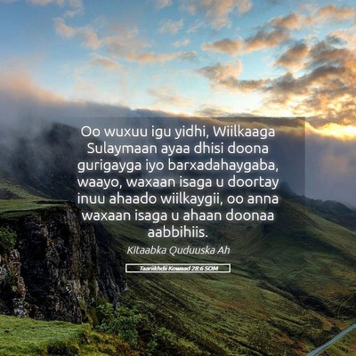 Picture 05 - Taariikhdii Kowaad 28:6 SOM - Oo wuxuu igu yidhi, Wiilkaaga Sulaymaan ayaa - Bible Verse Picture