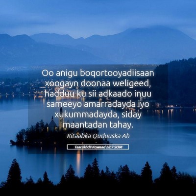 Picture 05 - Taariikhdii Kowaad 28:7 SOM - Oo anigu boqortooyadiisaan xoogayn doonaa - Bible Verse Picture