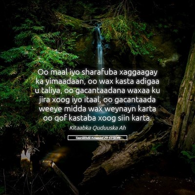 Picture 05 - Taariikhdii Kowaad 29:12 SOM - Oo maal iyo sharafuba xaggaagay ka yimaadaan, oo - Bible Verse Picture