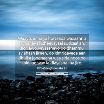 Picture 05 - Taariikhdii Kowaad 29:15 SOM - Waayo, annagu hortaada waxaannu ku nahay - Bible Verse Picture