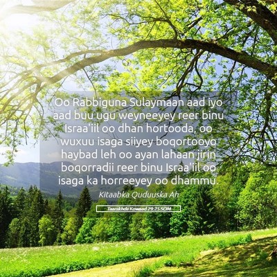 Picture 05 - Taariikhdii Kowaad 29:25 SOM - Oo Rabbiguna Sulaymaan aad iyo aad buu ugu - Bible Verse Picture