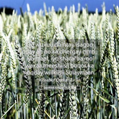 Picture 05 - Taariikhdii Kowaad 29:28 SOM - Oo wuxuu dhintay isagoo oday ah oo ka dhergay - Bible Verse Picture