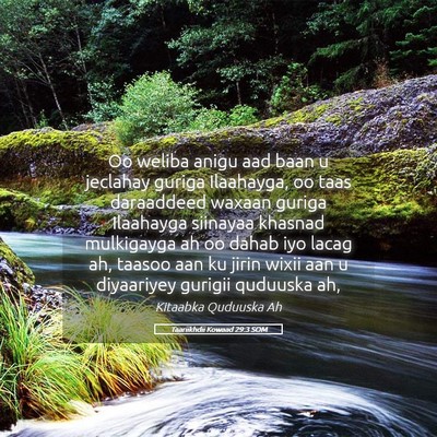 Picture 05 - Taariikhdii Kowaad 29:3 SOM - Oo weliba anigu aad baan u jeclahay guriga - Bible Verse Picture