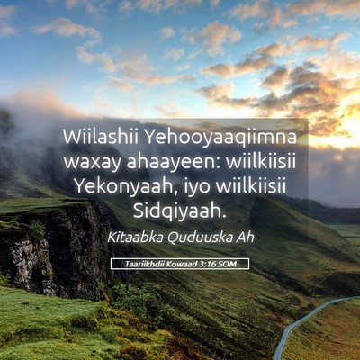 Picture 05 - Taariikhdii Kowaad 3:16 SOM - Wiilashii Yehooyaaqiimna waxay ahaayeen: - Bible Verse Picture