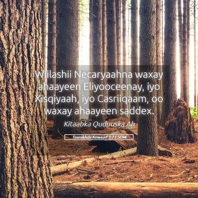 Picture 05 - Taariikhdii Kowaad 3:23 SOM - Wiilashii Necaryaahna waxay ahaayeen - Bible Verse Picture
