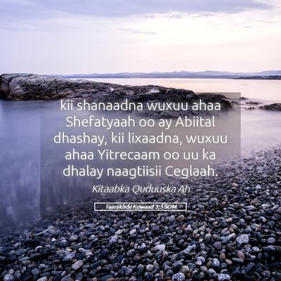 Picture 05 - Taariikhdii Kowaad 3:3 SOM - kii shanaadna wuxuu ahaa Shefatyaah oo ay Abiital - Bible Verse Picture