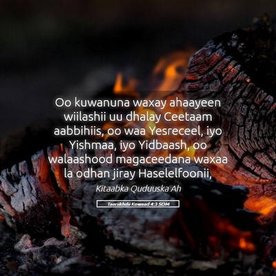 Picture 05 - Taariikhdii Kowaad 4:3 SOM - Oo kuwanuna waxay ahaayeen wiilashii uu dhalay - Bible Verse Picture