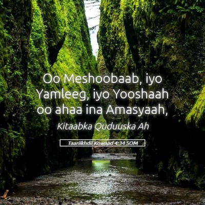 Picture 05 - Taariikhdii Kowaad 4:34 SOM - Oo Meshoobaab, iyo Yamleeg, iyo Yooshaah oo ahaa - Bible Verse Picture