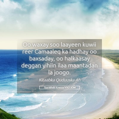 Picture 05 - Taariikhdii Kowaad 4:43 SOM - Oo waxay soo laayeen kuwii reer Camaaleq ka - Bible Verse Picture