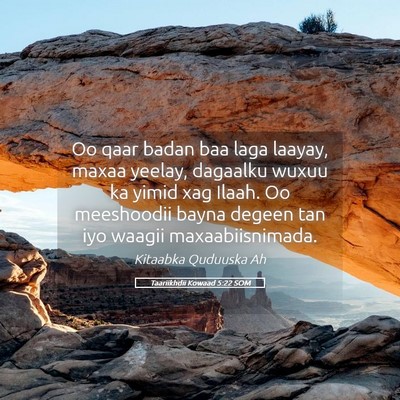 Picture 05 - Taariikhdii Kowaad 5:22 SOM - Oo qaar badan baa laga laayay, maxaa yeelay, - Bible Verse Picture
