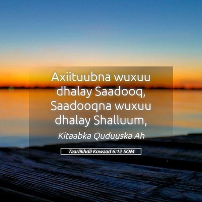 Picture 05 - Taariikhdii Kowaad 6:12 SOM - Axiituubna wuxuu dhalay Saadooq, Saadooqna wuxuu - Bible Verse Picture