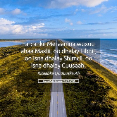 Picture 05 - Taariikhdii Kowaad 6:29 SOM - Farcankii Meraariina wuxuu ahaa Maxlii, oo dhalay - Bible Verse Picture