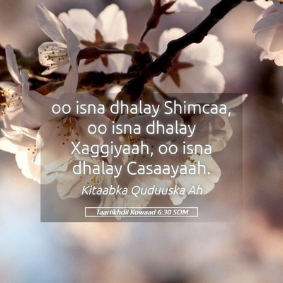 Picture 05 - Taariikhdii Kowaad 6:30 SOM - oo isna dhalay Shimcaa, oo isna dhalay Xaggiyaah, - Bible Verse Picture