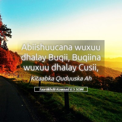 Picture 05 - Taariikhdii Kowaad 6:5 SOM - Abiishuucana wuxuu dhalay Buqii, Buqiina wuxuu - Bible Verse Picture