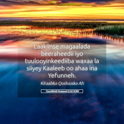Picture 05 - Taariikhdii Kowaad 6:56 SOM - Laakiinse magaalada beeraheedii iyo - Bible Verse Picture