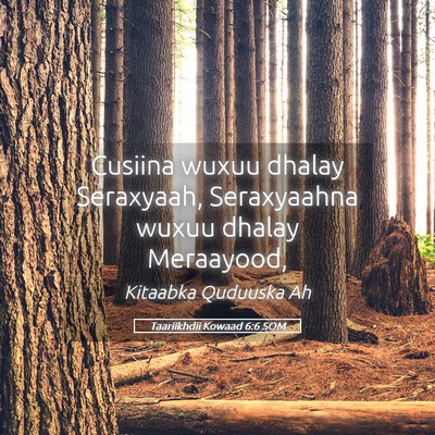 Picture 05 - Taariikhdii Kowaad 6:6 SOM - Cusiina wuxuu dhalay Seraxyaah, Seraxyaahna wuxuu - Bible Verse Picture