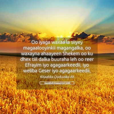 Picture 05 - Taariikhdii Kowaad 6:67 SOM - Oo iyaga waxaa la siiyey magaalooyinkii - Bible Verse Picture