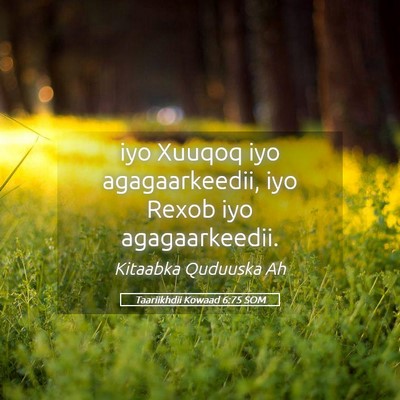 Picture 05 - Taariikhdii Kowaad 6:75 SOM - iyo Xuuqoq iyo agagaarkeedii, iyo Rexob iyo - Bible Verse Picture