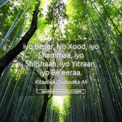 Picture 05 - Taariikhdii Kowaad 7:37 SOM - iyo Beser, iyo Xood, iyo Shammaa, iyo Shilshaah, - Bible Verse Picture