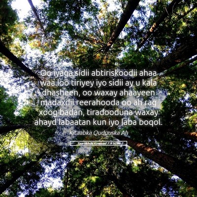 Picture 05 - Taariikhdii Kowaad 7:9 SOM - Oo iyaga sidii abtiriskoodii ahaa waa loo tiriyey - Bible Verse Picture