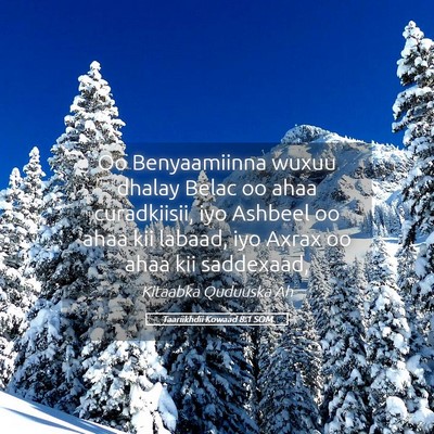 Picture 05 - Taariikhdii Kowaad 8:1 SOM - Oo Benyaamiinna wuxuu dhalay Belac oo ahaa - Bible Verse Picture