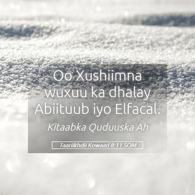 Picture 05 - Taariikhdii Kowaad 8:11 SOM - Oo Xushiimna wuxuu ka dhalay Abiituub iyo - Bible Verse Picture