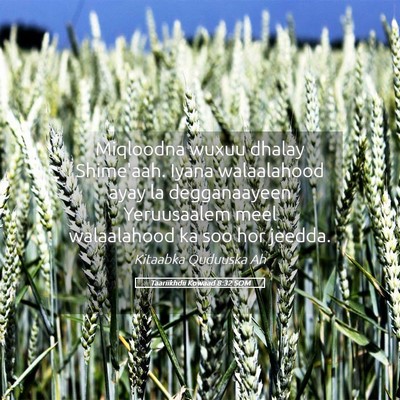 Picture 05 - Taariikhdii Kowaad 8:32 SOM - Miqloodna wuxuu dhalay Shime'aah. Iyana - Bible Verse Picture