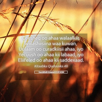 Picture 05 - Taariikhdii Kowaad 8:39 SOM - Ceesheq oo ahaa walaalkiis wiilashiisiina waa - Bible Verse Picture