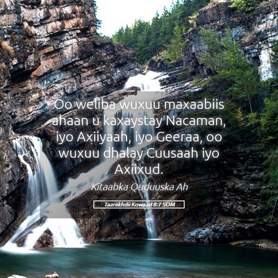 Picture 05 - Taariikhdii Kowaad 8:7 SOM - Oo weliba wuxuu maxaabiis ahaan u kaxaystay - Bible Verse Picture