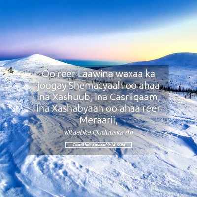 Picture 05 - Taariikhdii Kowaad 9:14 SOM - Oo reer Laawina waxaa ka joogay Shemacyaah oo - Bible Verse Picture