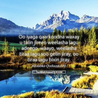 Picture 05 - Taariikhdii Kowaad 9:28 SOM - Oo iyaga qaarkoodna waxay u talin jireen weelasha - Bible Verse Picture