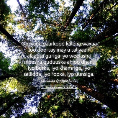Picture 05 - Taariikhdii Kowaad 9:29 SOM - Oo iyaga qaarkood kalena waxaa loo doortay inay u - Bible Verse Picture