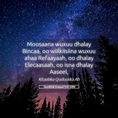 Picture 05 - Taariikhdii Kowaad 9:43 SOM - Moosaana wuxuu dhalay Bincaa, oo wiilkiisiina - Bible Verse Picture