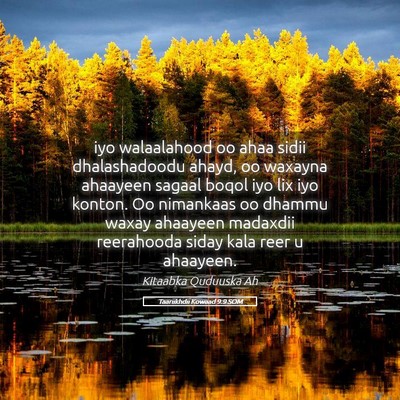 Picture 05 - Taariikhdii Kowaad 9:9 SOM - iyo walaalahood oo ahaa sidii dhalashadoodu - Bible Verse Picture