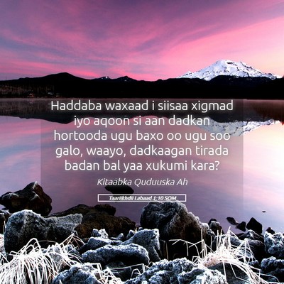 Picture 05 - Taariikhdii Labaad 1:10 SOM - Haddaba waxaad i siisaa xigmad iyo aqoon si aan - Bible Verse Picture