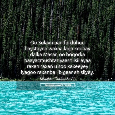 Picture 05 - Taariikhdii Labaad 1:16 SOM - Oo Sulaymaan farduhuu haystayna waxaa laga keenay - Bible Verse Picture