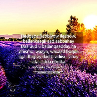 Picture 05 - Taariikhdii Labaad 1:9 SOM - Haddaba Rabbiyow Ilaahow, ballankaagii aad - Bible Verse Picture