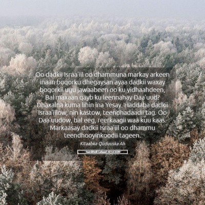 Picture 05 - Taariikhdii Labaad 10:16 SOM - Oo dadkii Israa'iil oo dhammuna markay arkeen - Bible Verse Picture