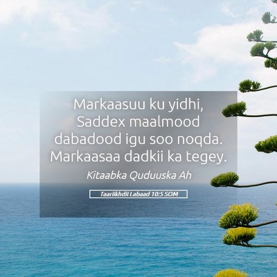 Picture 05 - Taariikhdii Labaad 10:5 SOM - Markaasuu ku yidhi, Saddex maalmood dabadood igu - Bible Verse Picture